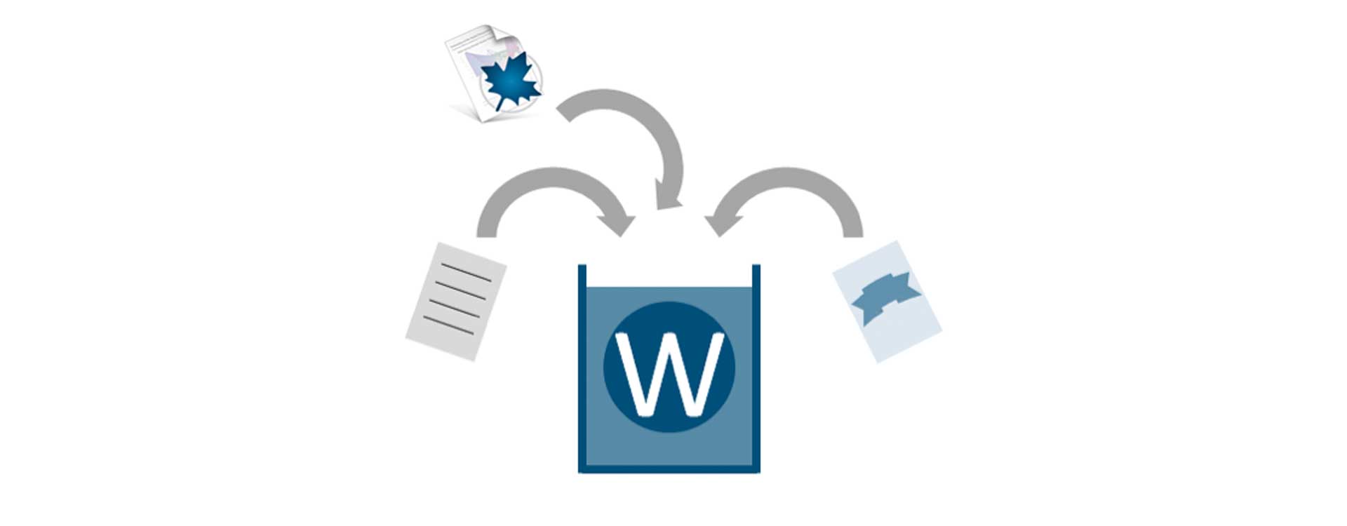 Keep documents, data, source code and more all in the Maple Workbook