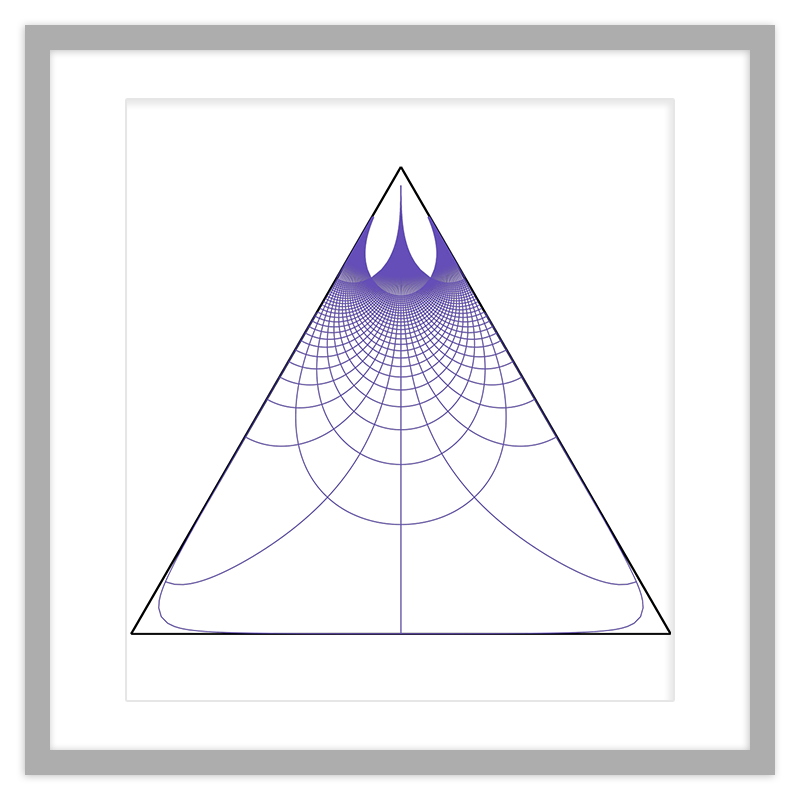 Schwarz-Christoffel Triangle