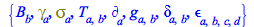 {B[b], Physics:-Dgamma[a], Physics:-Psigma[a], T[a, b], Physics:-d_[a], Physics:-g_[a, b], Physics:-KroneckerDelta[a, b], Physics:-LeviCivita[a, b, c, d]}