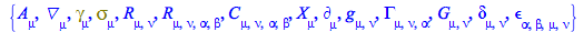 Typesetting:-mprintslash([{A[mu], Physics:-D_[mu], Physics:-Dgamma[mu], Physics:-Psigma[mu], Physics:-Ricci[mu, nu], Physics:-Riemann[mu, nu, alpha, beta], Physics:-Weyl[mu, nu, alpha, beta], X[mu], P...