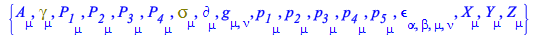 Typesetting:-mprintslash([[A[mu], Physics:-Dgamma[mu], P__1[mu], P__2[mu], P__3[mu], P__4[mu], Physics:-Psigma[mu], Physics:-d_[mu], Physics:-g_[mu, nu], p__1[mu], p__2[mu], p__3[mu], p__4[mu], p__5[m...