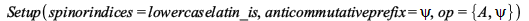 Setup(spinorindices = lowercaselatin_is, anticommutativeprefix = psi, op = {A, psi}); 