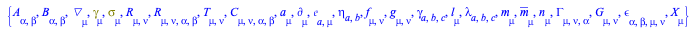 Typesetting:-mprintslash([[A[alpha, beta], B[alpha, beta], Physics:-D_[mu], Physics:-Dgamma[mu], Physics:-Psigma[mu], Physics:-Ricci[mu, nu], Physics:-Riemann[mu, nu, alpha, beta], T[mu, nu], Physics:...