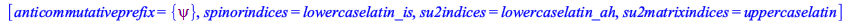 [anticommutativeprefix = {psi}, spinorindices = lowercaselatin_is, su2indices = lowercaselatin_ah, su2matrixindices = uppercaselatin]