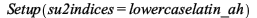 Setup(su2indices = lowercaselatin_ah); 