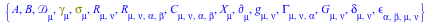 Typesetting:-mprintslash([{A, B, Physics:-D_[mu], Physics:-Dgamma[mu], Physics:-Psigma[mu], Physics:-Ricci[mu, nu], Physics:-Riemann[mu, nu, alpha, beta], Physics:-Weyl[mu, nu, alpha, beta], X[mu], Ph...