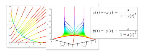 Polynomial System Solving